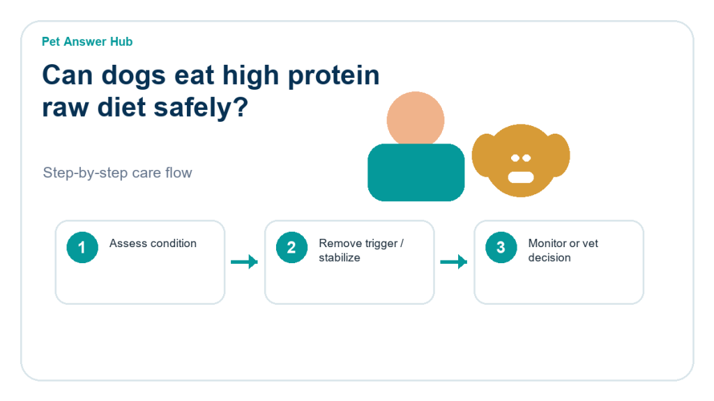 can dogs eat high protein raw diet safely dog food safety action flow