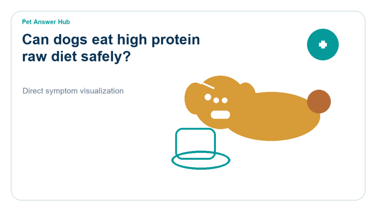 can dogs eat high protein raw diet safely dog food safety visual