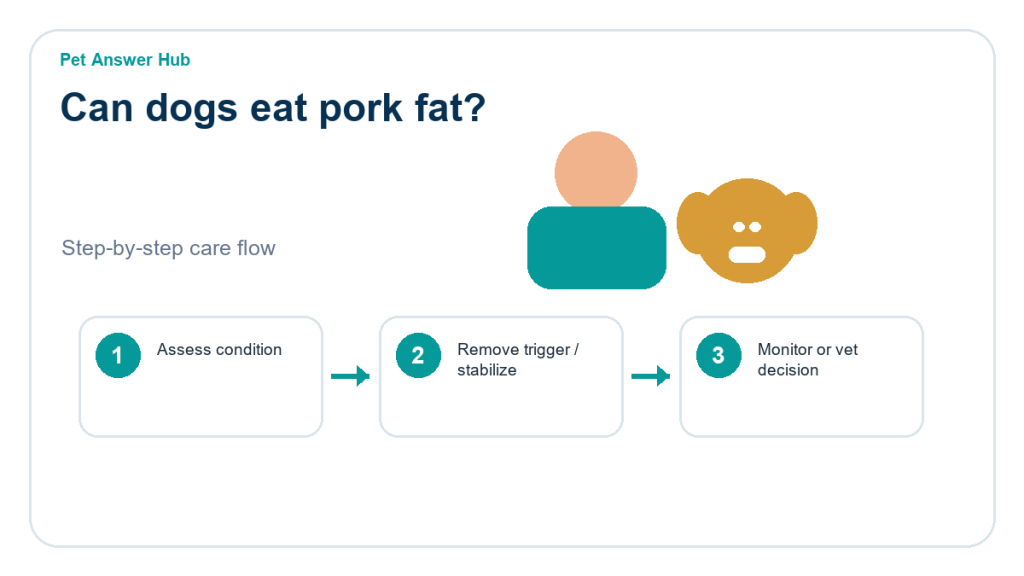 can dogs eat pork fat dog food safety action flow