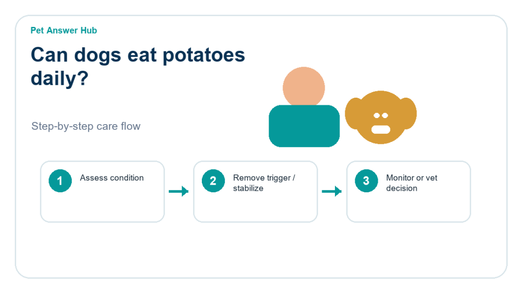 can dogs eat potatoes daily dog food safety action flow