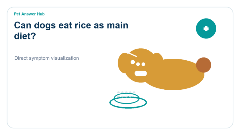 can dogs eat rice as main diet dog food safety visual
