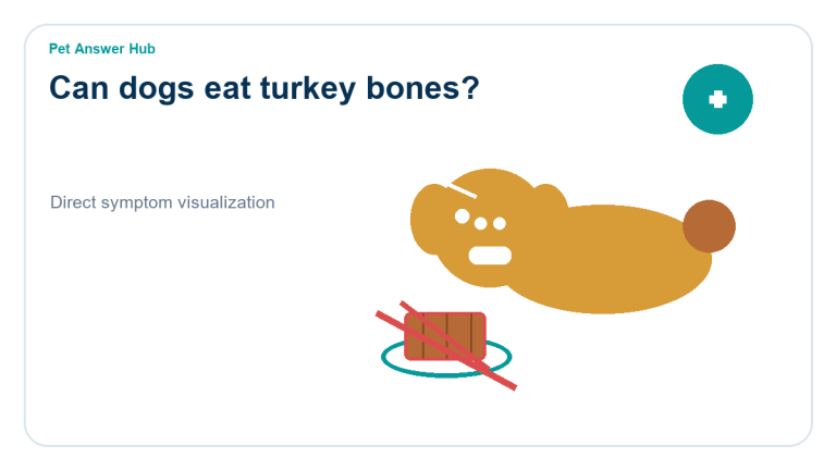 can dogs eat turkey bones dog food safety visual