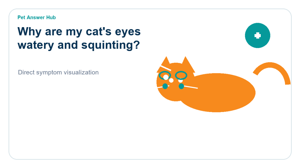 why are my cat's eyes watery and squinting symptom state visual