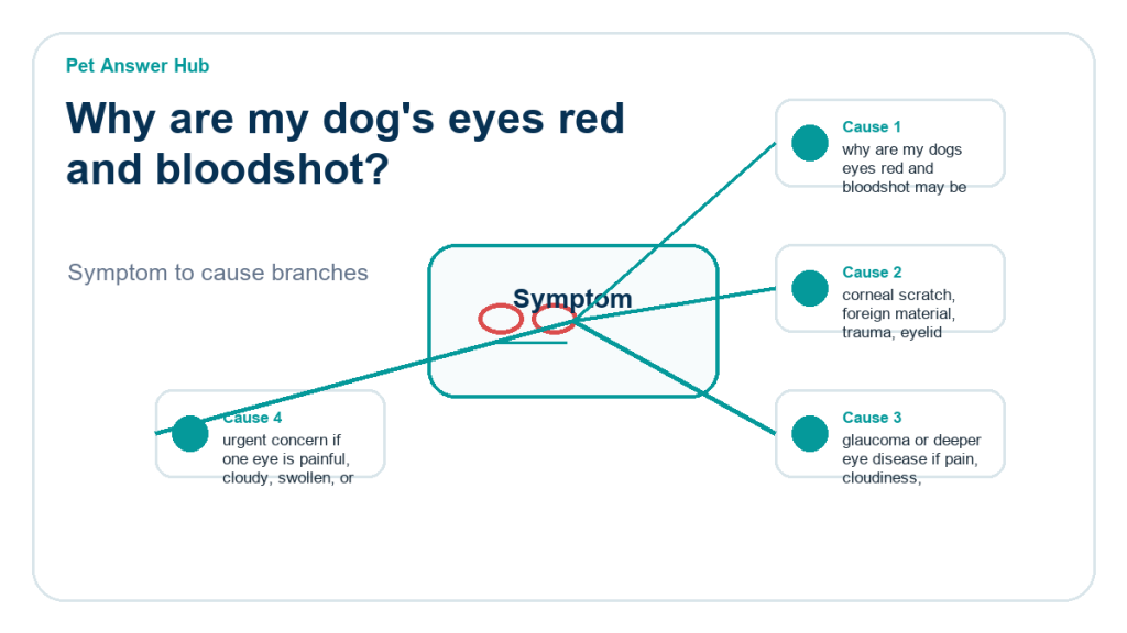 why are my dogs eyes red and bloodshot diagnostic cause diagram