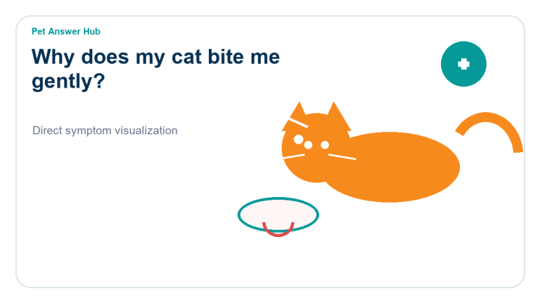 why does my cat bite me gently cat behavior visual