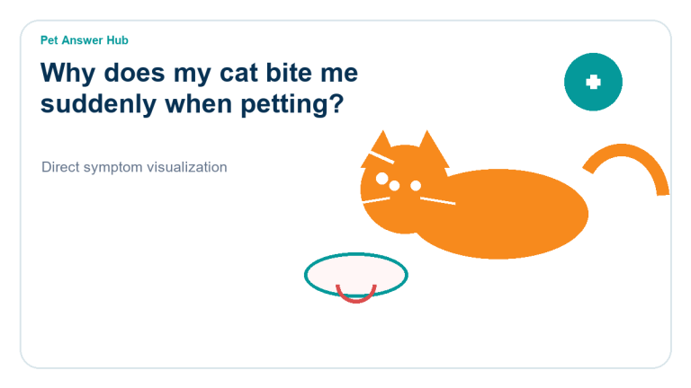 why does my cat bite me suddenly when petting cat behavior visual