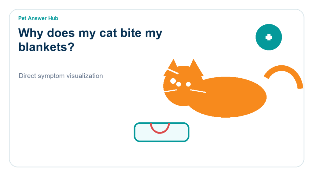 why does my cat bite my blankets cat behavior visual