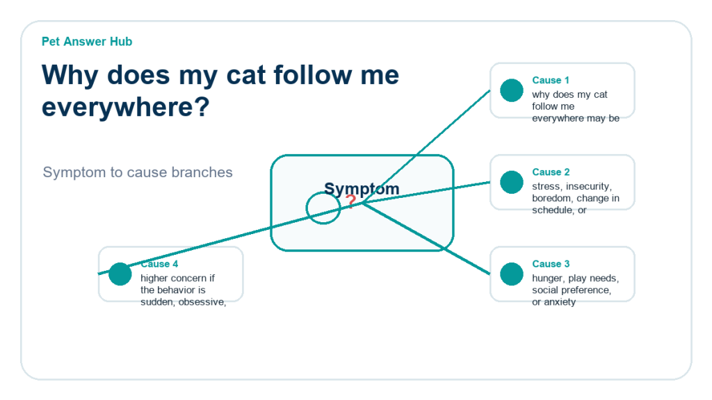 why does my cat follow me everywhere behavior cause diagram