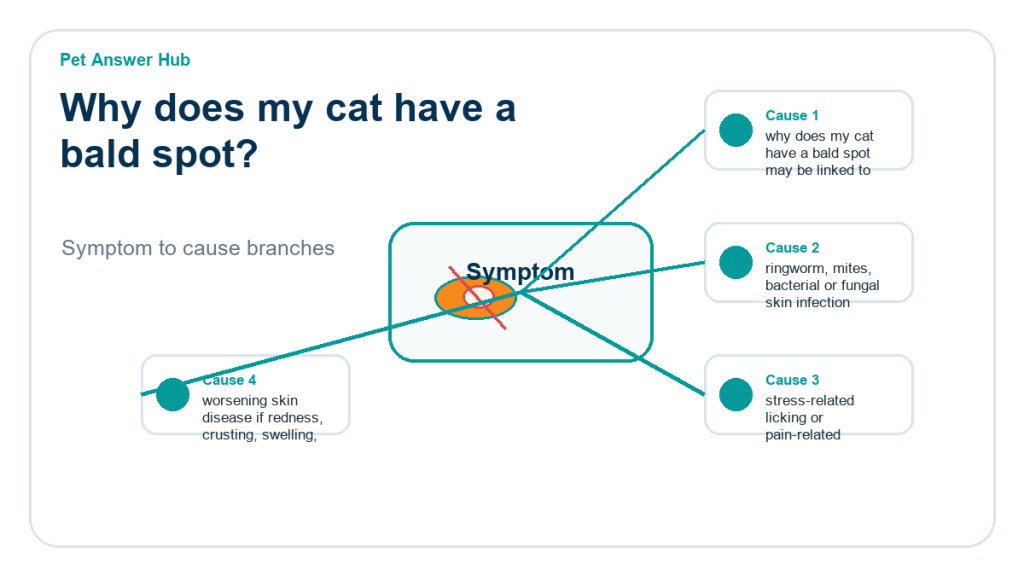 why does my cat have a bald spot diagnostic cause diagram