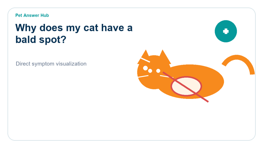 why does my cat have a bald spot symptom state visual