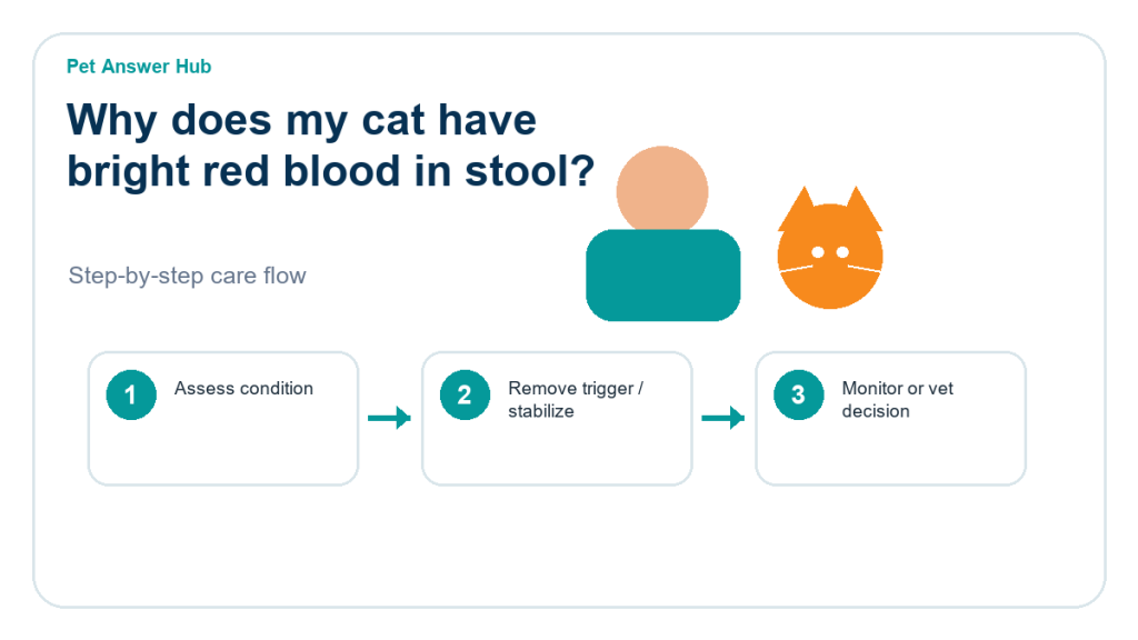 why does my cat have bright red blood in stool triage action flow