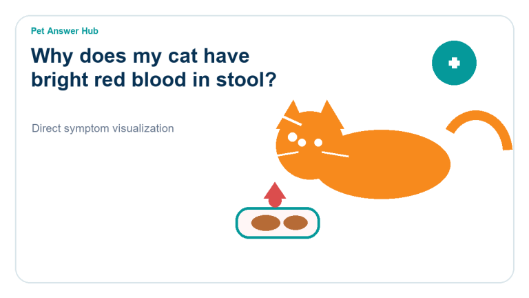 why does my cat have bright red blood in stool symptom state visual
