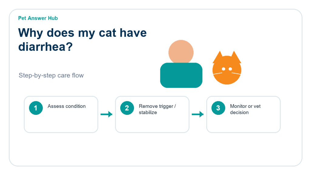 why does my cat have diarrhea action guide