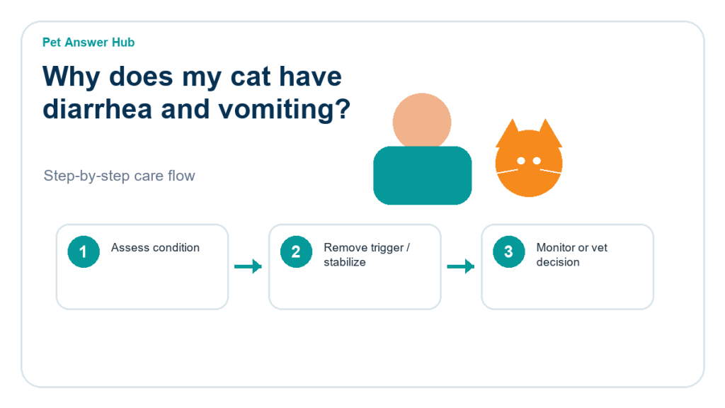 why does my cat have diarrhea and vomiting triage action flow