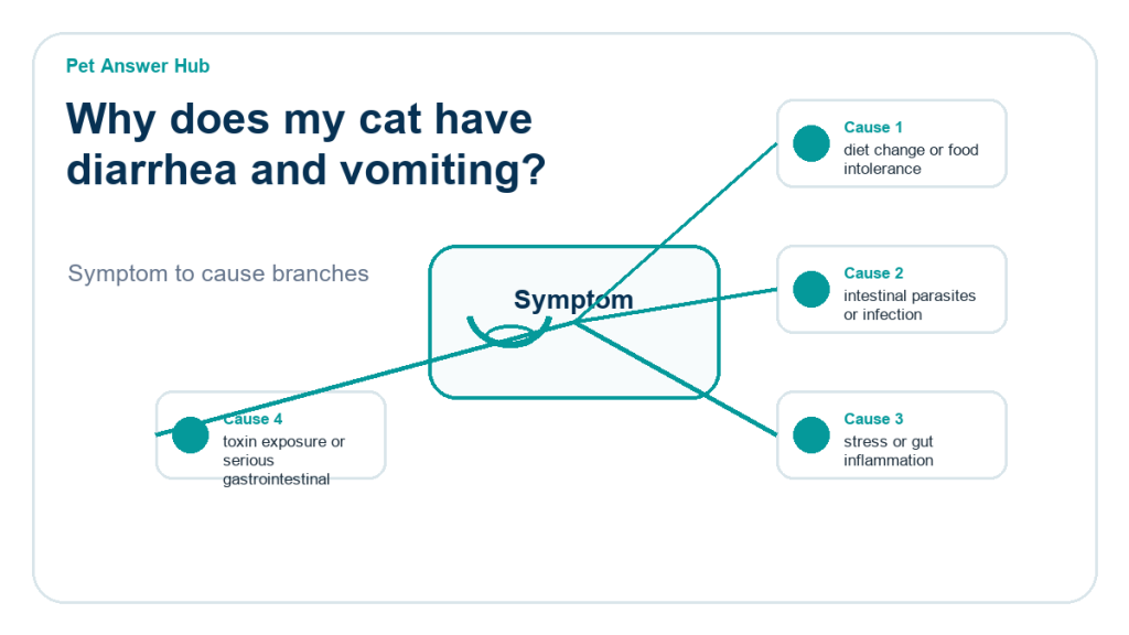 why does my cat have diarrhea and vomiting diagnostic cause diagram