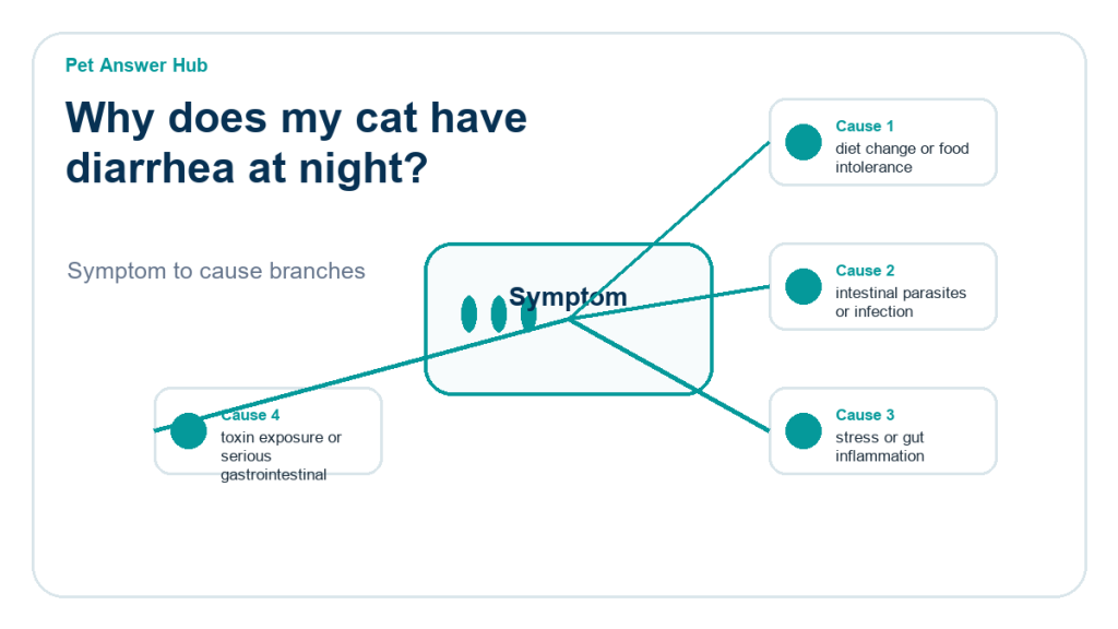 why does my cat have diarrhea at night diagnostic cause diagram