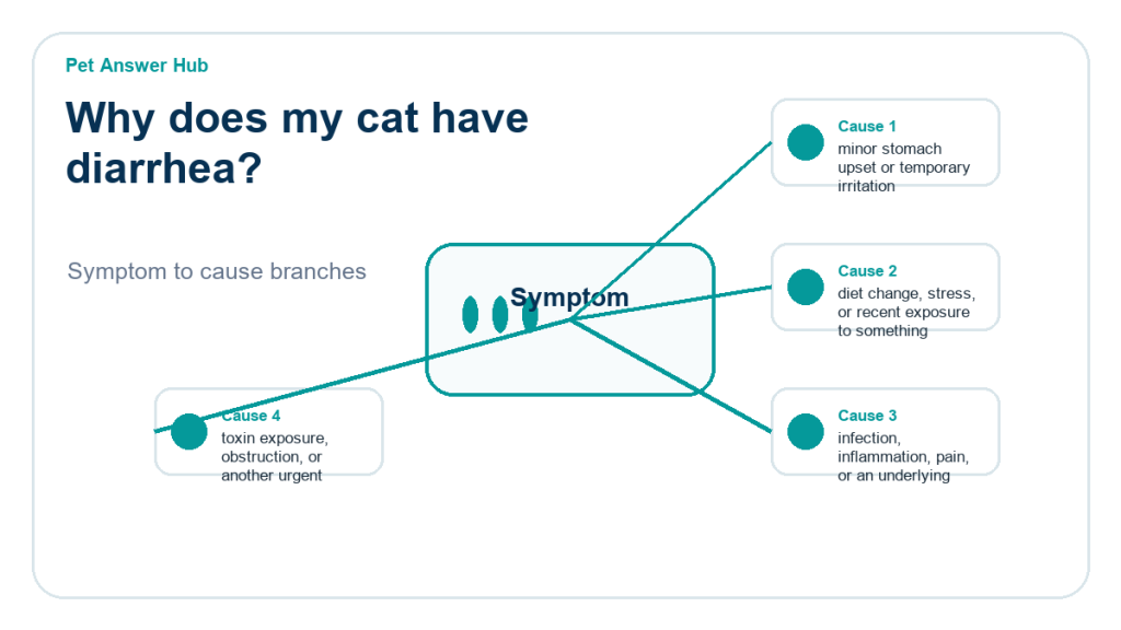 why does my cat have diarrhea cause diagram