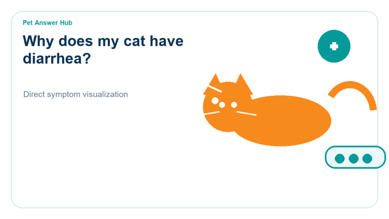 why does my cat have diarrhea symptom visualization