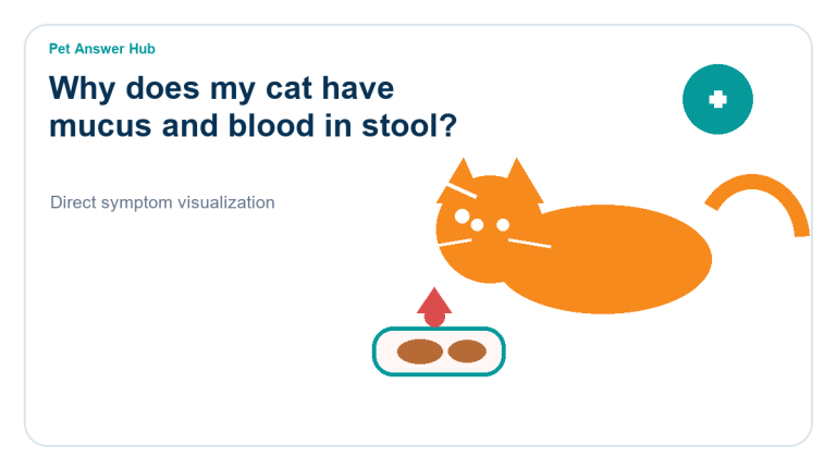 why does my cat have mucus and blood in stool symptom state visual