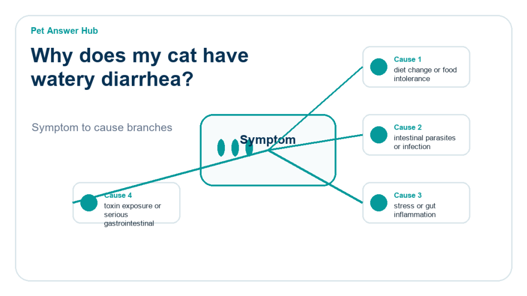 why does my cat have watery diarrhea diagnostic cause diagram