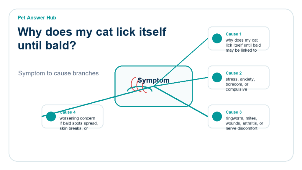 why does my cat lick itself until bald behavior cause diagram