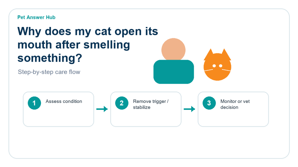 why does my cat open its mouth after smelling something care action flow