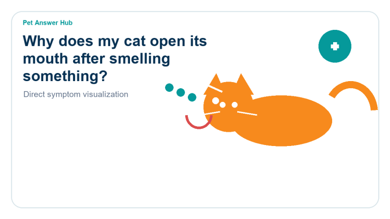 why does my cat open its mouth after smelling something cat behavior visual