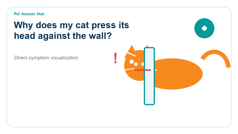 why does my cat press its head against the wall cat behavior visual