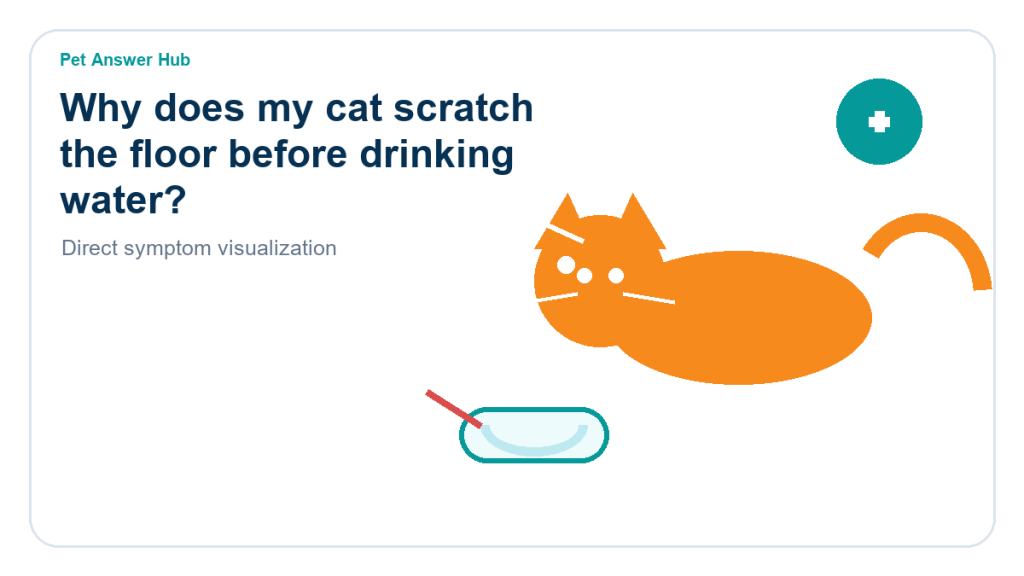 why does my cat scratch the floor before drinking water cat behavior visual