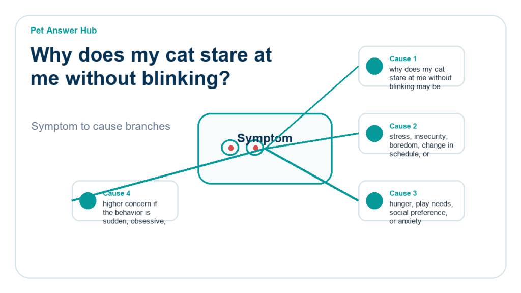why does my cat stare at me without blinking behavior cause diagram