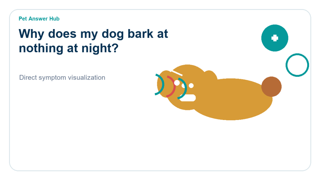 why does my dog bark at nothing at night dog behavior visual