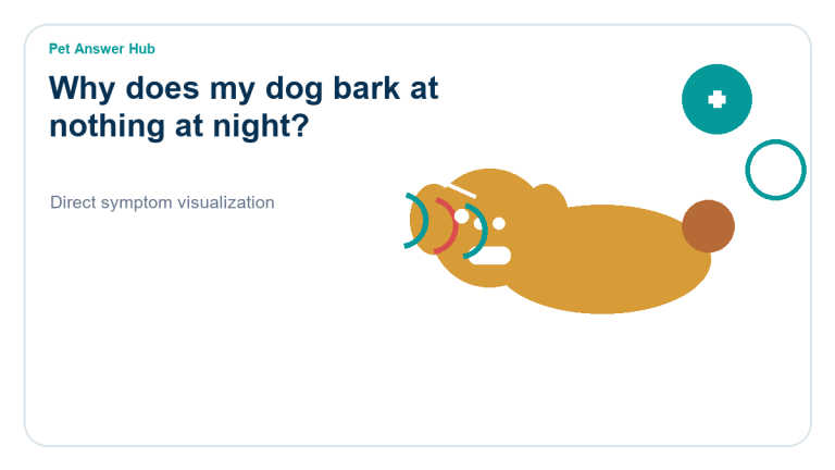 why does my dog bark at nothing at night dog behavior visual