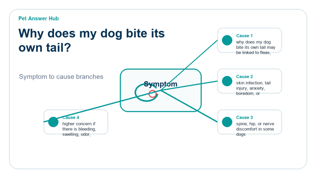 why does my dog bite its own tail behavior cause diagram