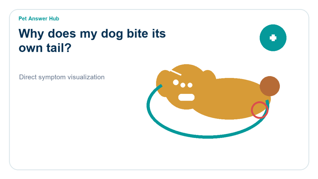 why does my dog bite its own tail dog behavior visual