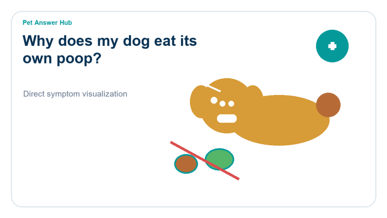 why does my dog eat its own poop dog behavior visual