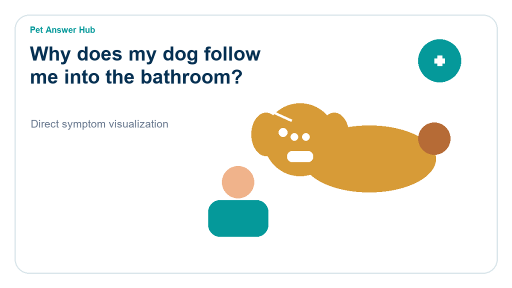 why does my dog follow me into the bathroom dog behavior visual