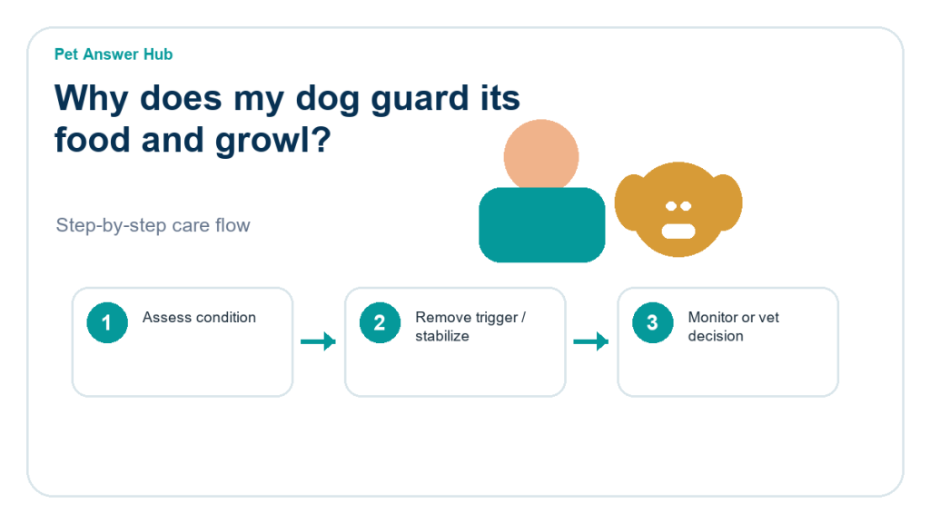 why does my dog guard its food and growl care action flow