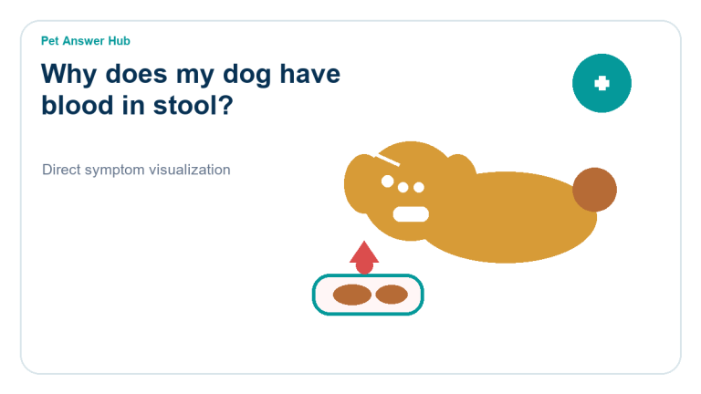 why does my dog have blood in stool symptom state visual