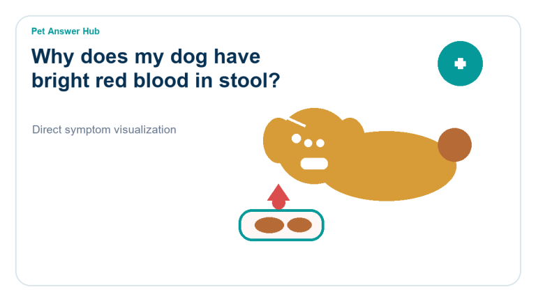 why does my dog have bright red blood in stool symptom state visual