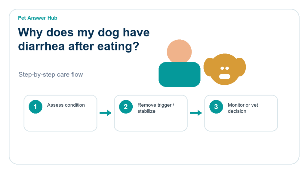 why does my dog have diarrhea after eating triage action flow