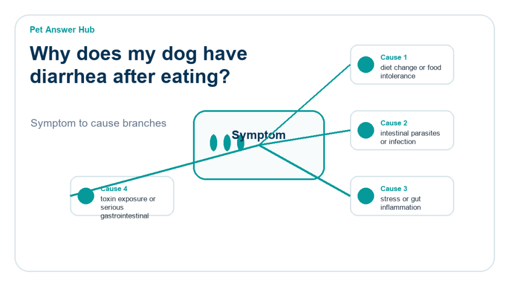 why does my dog have diarrhea after eating diagnostic cause diagram
