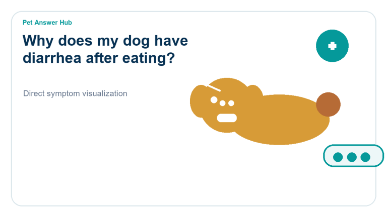 why does my dog have diarrhea after eating symptom state visual