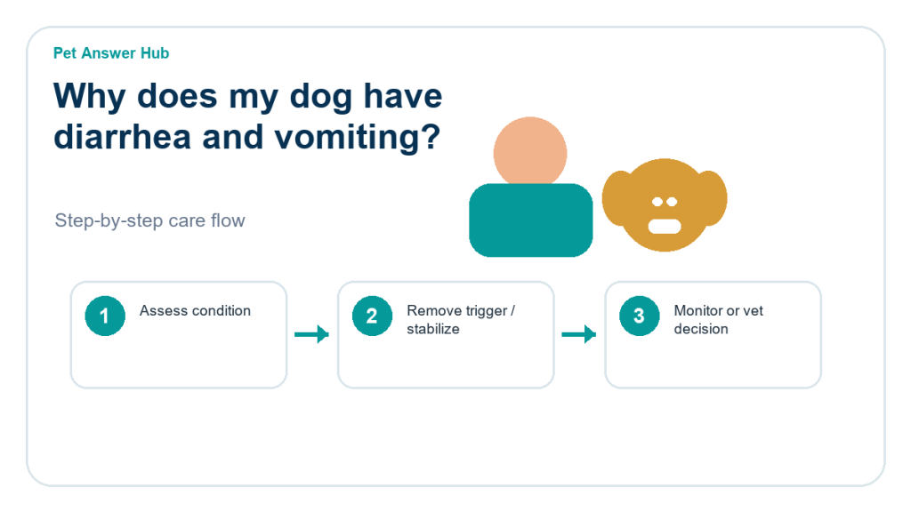 why does my dog have diarrhea and vomiting triage action flow