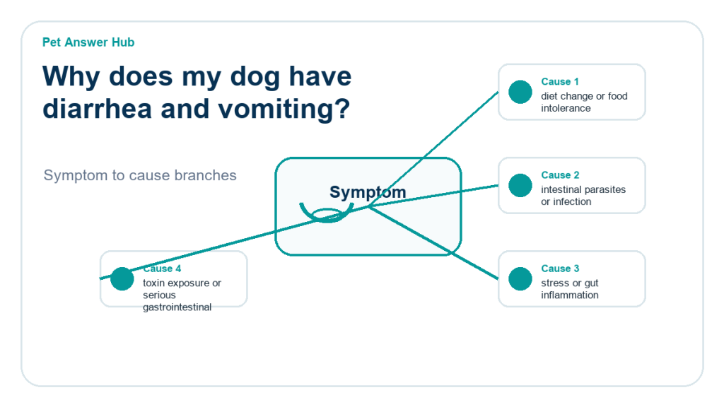 why does my dog have diarrhea and vomiting diagnostic cause diagram