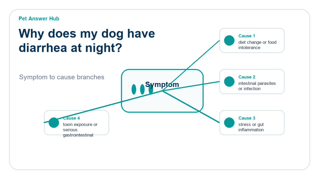 why does my dog have diarrhea at night diagnostic cause diagram