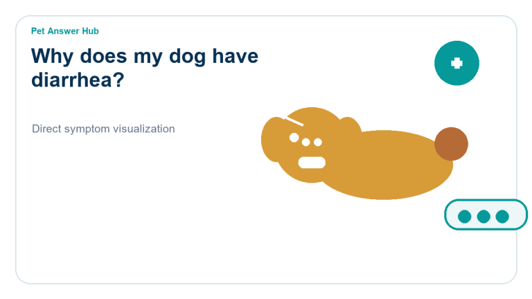 why does my dog have diarrhea symptom visualization
