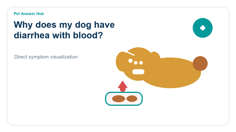 why does my dog have diarrhea with blood symptom state visual