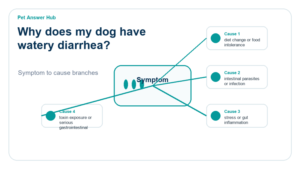 why does my dog have watery diarrhea diagnostic cause diagram