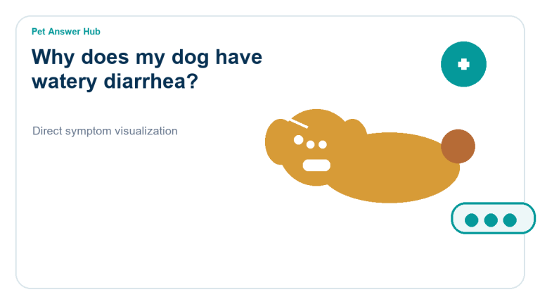 why does my dog have watery diarrhea symptom state visual