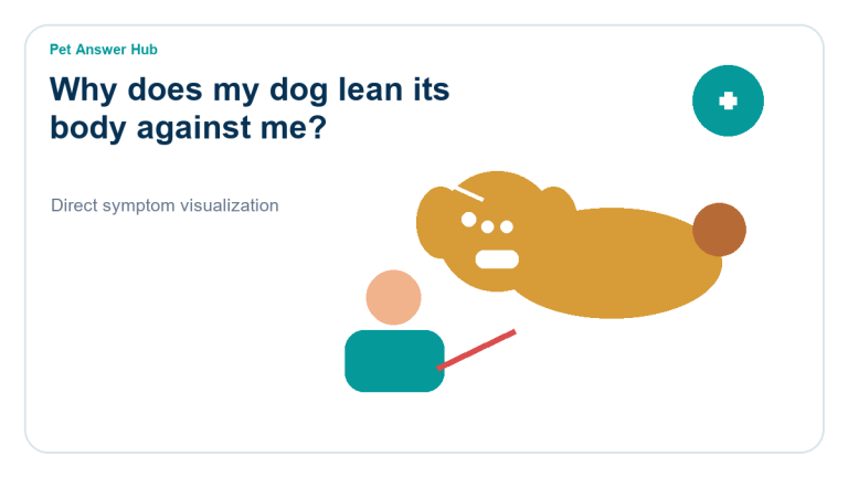 why does my dog lean its body against me dog behavior visual